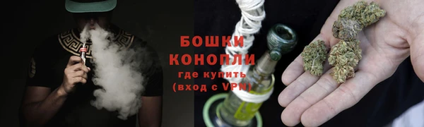 соль ск Вяземский
