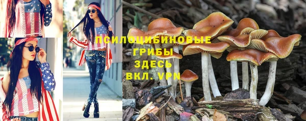 соль ск Вязьма