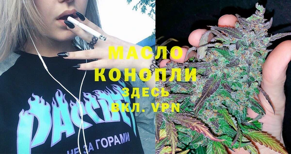 соль ск Вяземский
